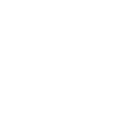 PulsePlay Academy